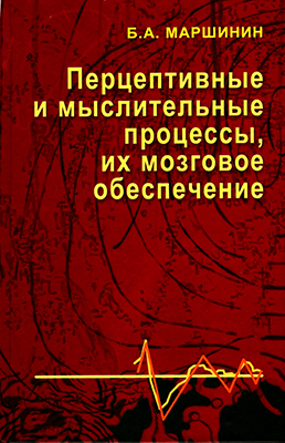 Маршинин Б. А. Перцептивные и мыслительные процессы, их мозговое обеспечение